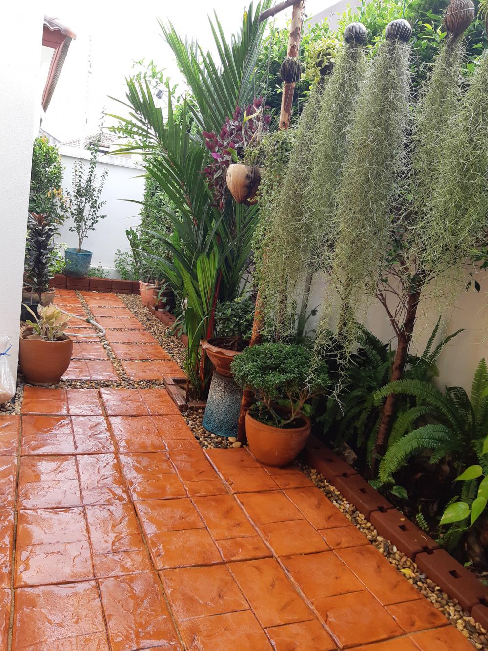 แค่นี้ก็สุขใจ แต่งบ้านสวยมาก รายล้อมด้วยต้นไม้