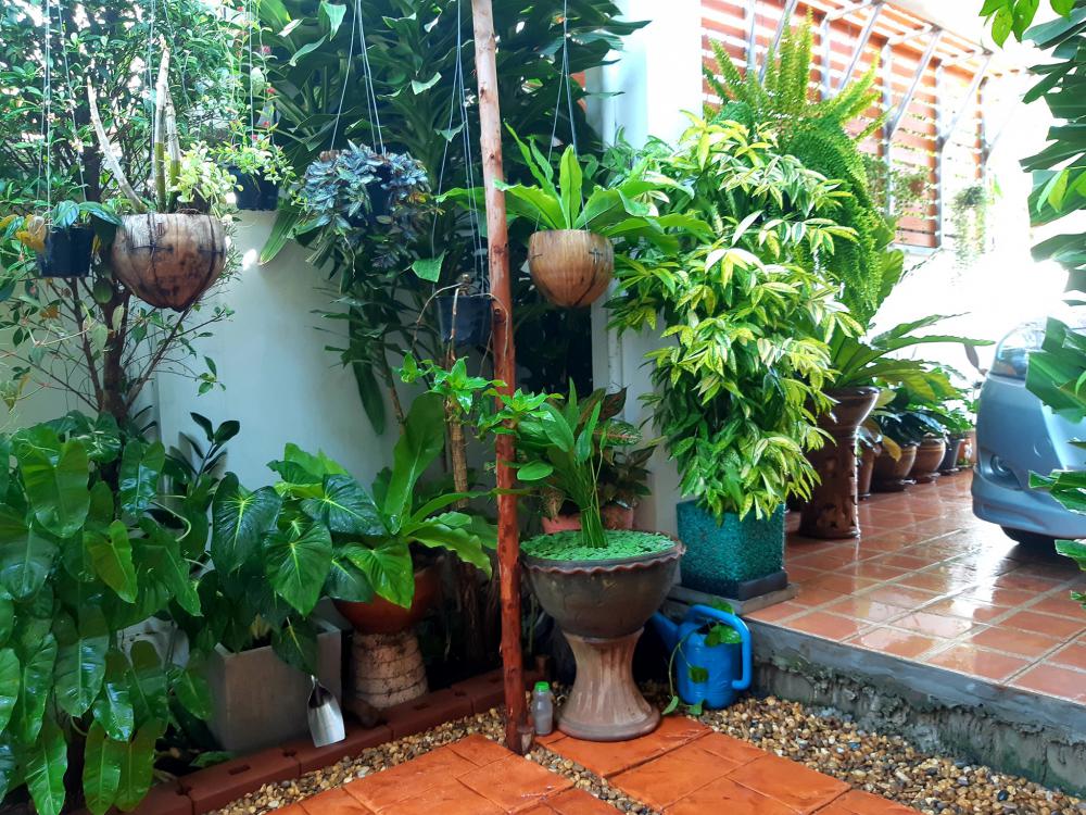 แค่นี้ก็สุขใจ แต่งบ้านสวยมาก รายล้อมด้วยต้นไม้