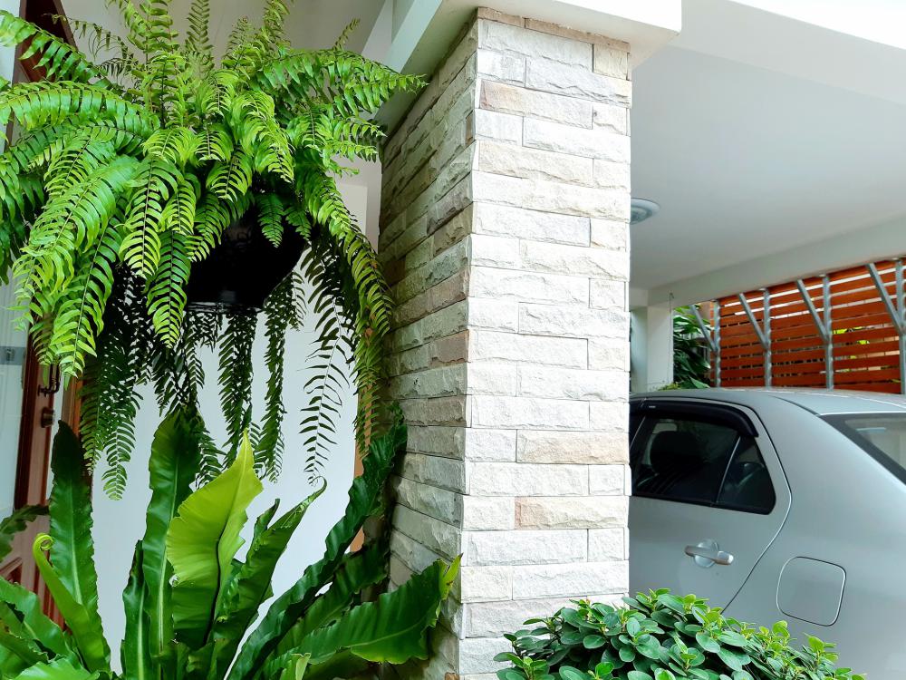 แค่นี้ก็สุขใจ แต่งบ้านสวยมาก รายล้อมด้วยต้นไม้