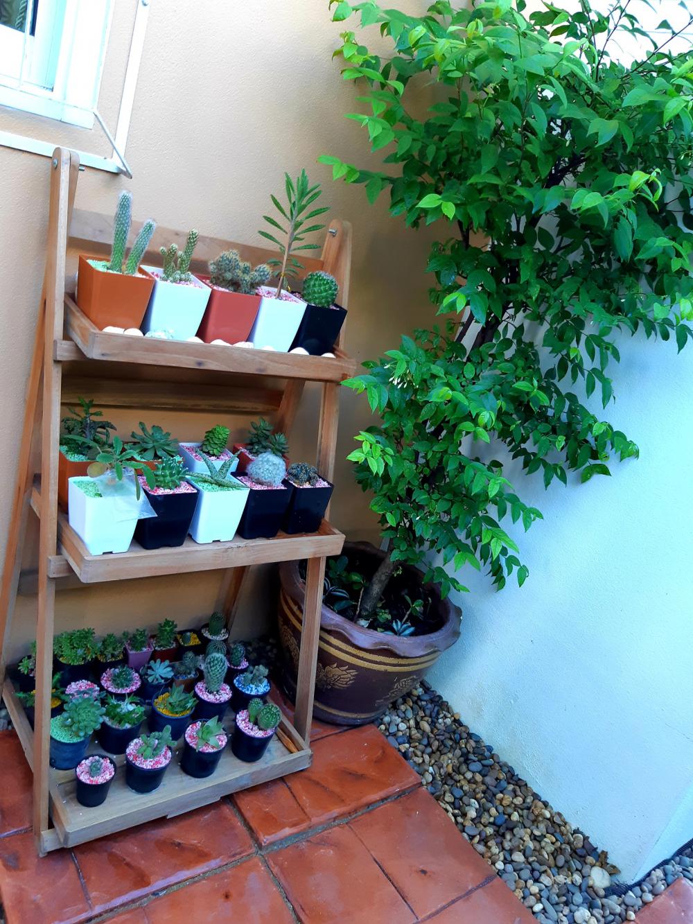 แค่นี้ก็สุขใจ แต่งบ้านสวยมาก รายล้อมด้วยต้นไม้