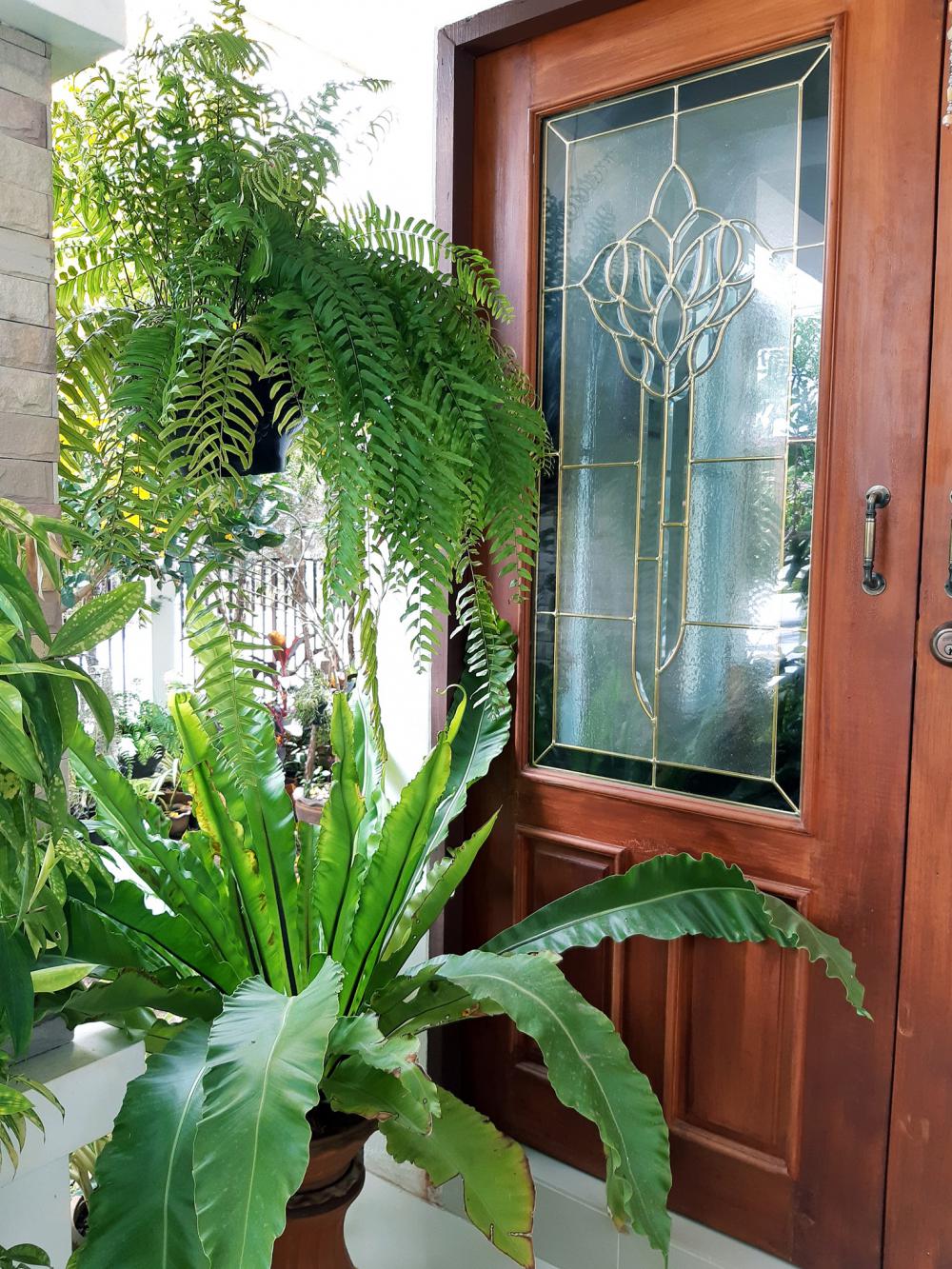 แค่นี้ก็สุขใจ แต่งบ้านสวยมาก รายล้อมด้วยต้นไม้