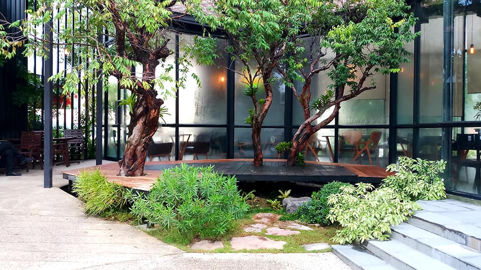 ทำทางยกพื้นเดินรอบต้นไม้