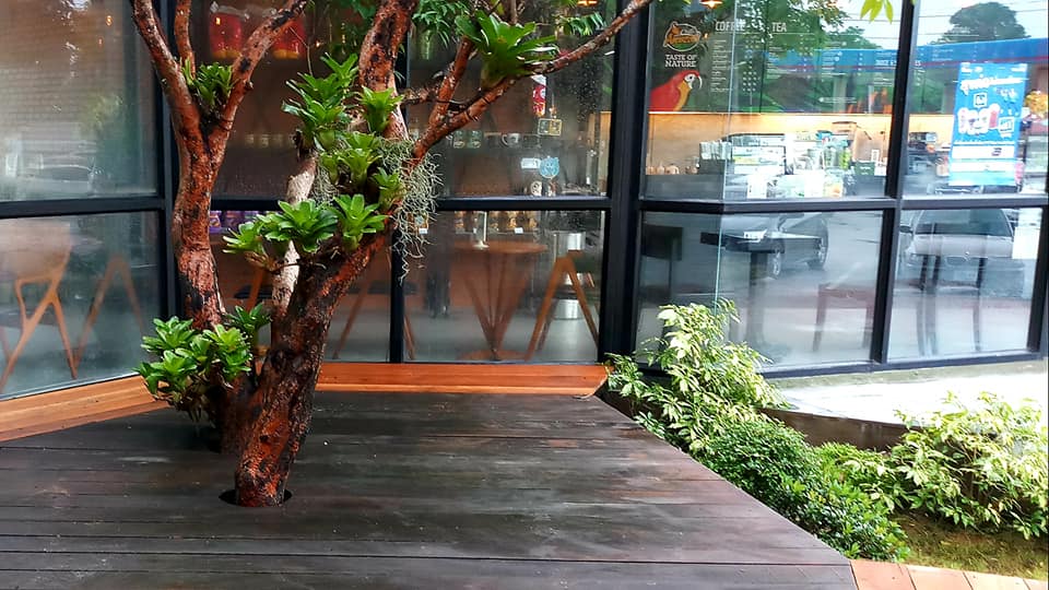 ทำทางยกพื้นเดินรอบต้นไม้