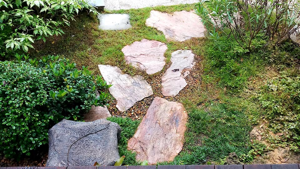 ทำทางยกพื้นเดินรอบต้นไม้