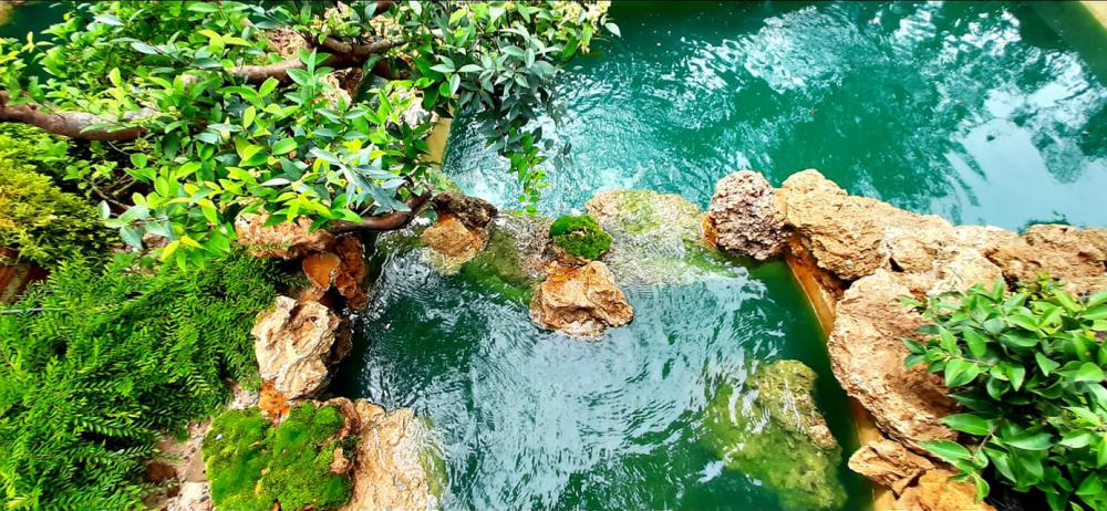 แต่งสวนสวยแบบธรรมชาติ