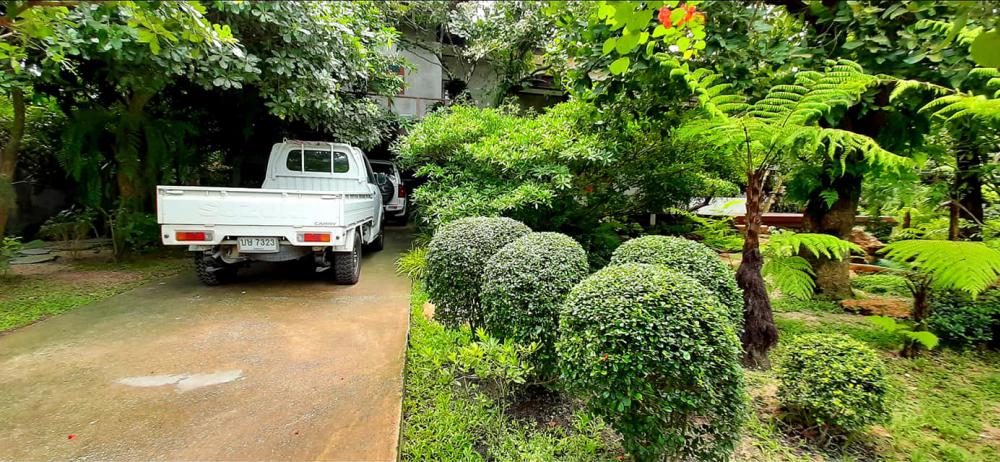 แต่งสวนสวยแบบธรรมชาติ