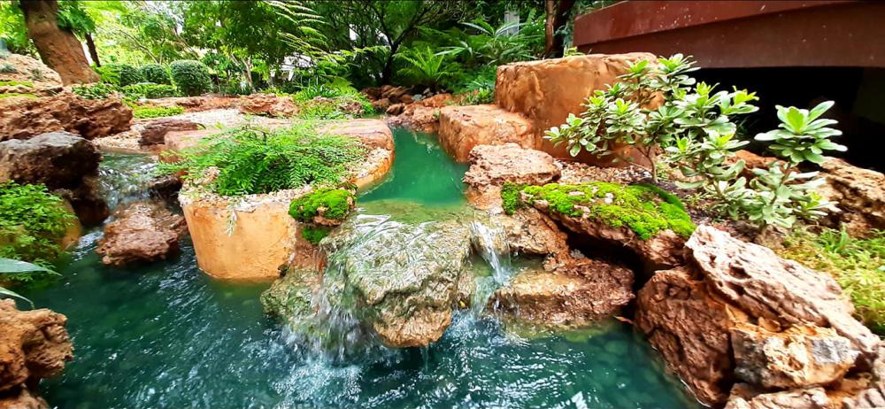 แต่งสวนสวยแบบธรรมชาติ