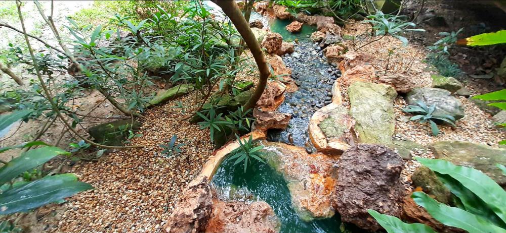 แต่งสวนสวยแบบธรรมชาติ