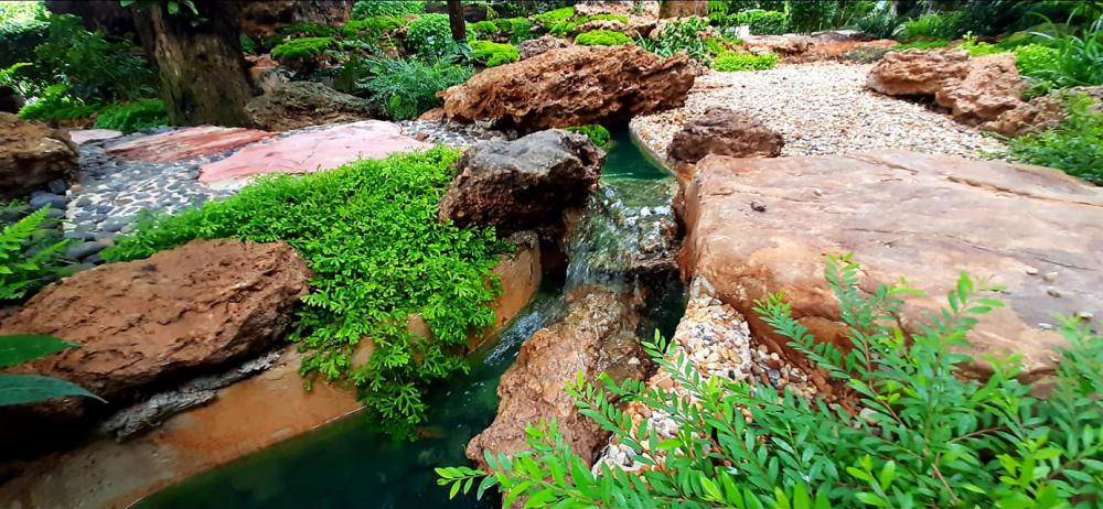 แต่งสวนสวยแบบธรรมชาติ