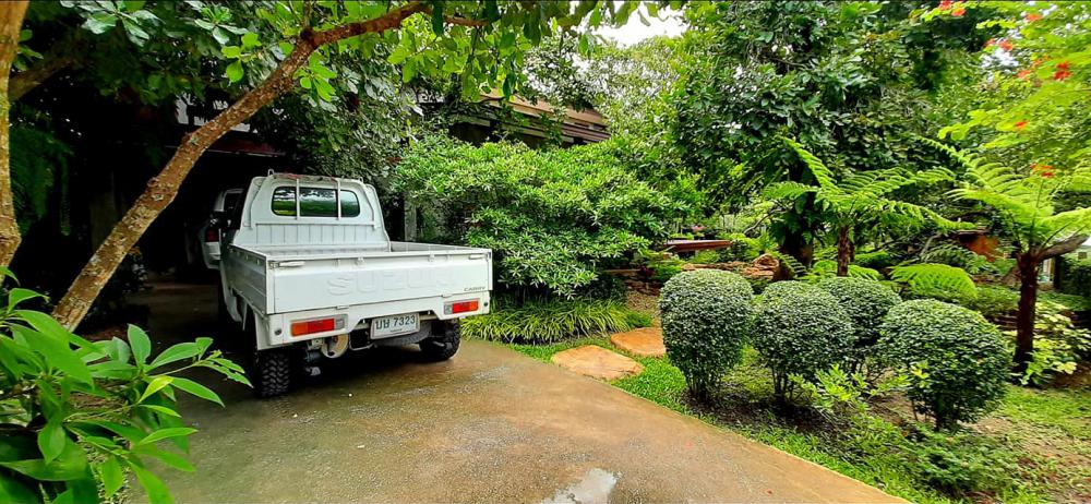 แต่งสวนสวยแบบธรรมชาติ