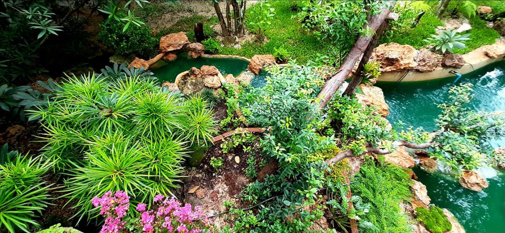 แต่งสวนสวยแบบธรรมชาติ