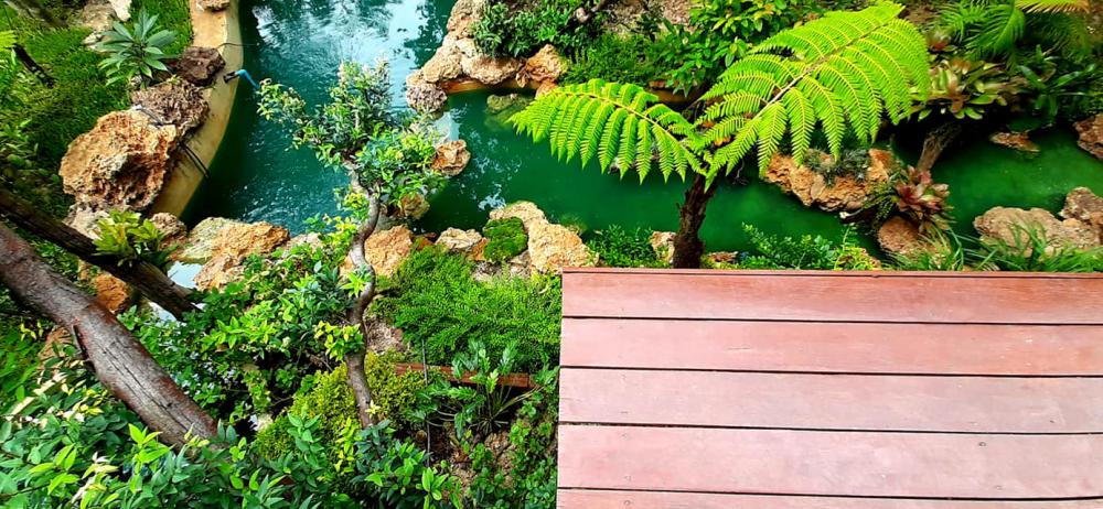 แต่งสวนสวยแบบธรรมชาติ