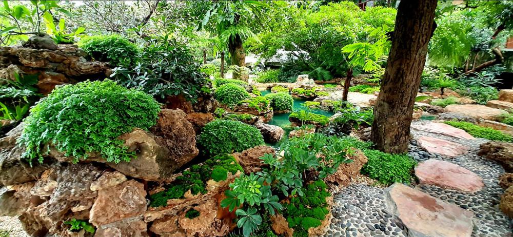 แต่งสวนสวยแบบธรรมชาติ