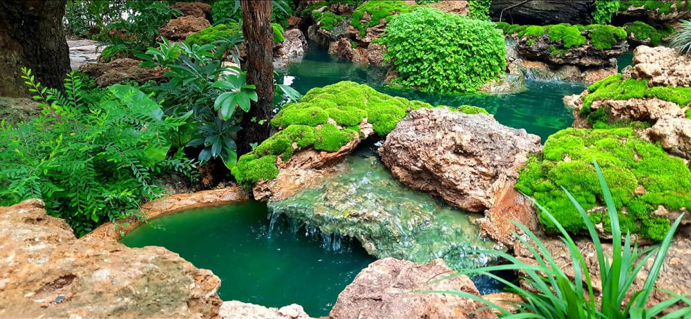 แต่งสวนสวยแบบธรรมชาติ