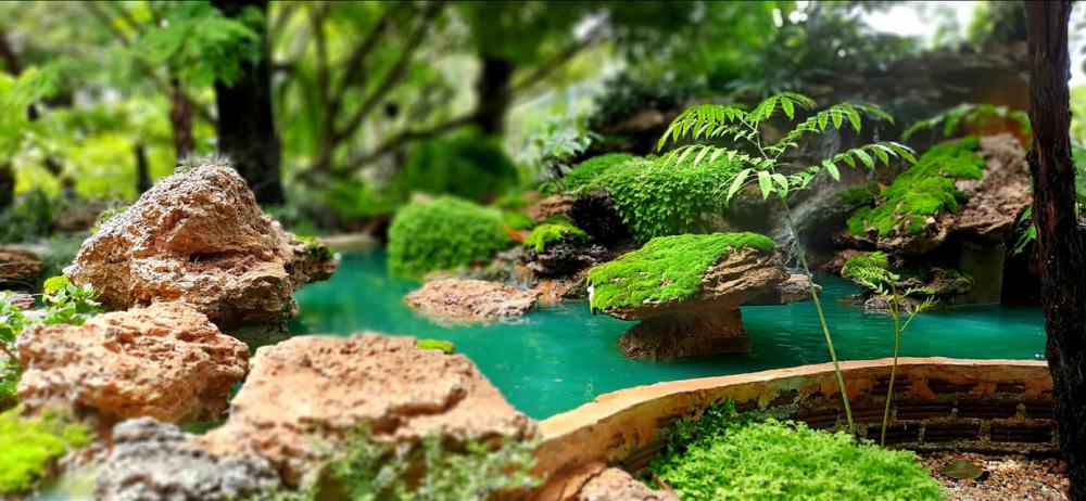 แต่งสวนสวยแบบธรรมชาติ