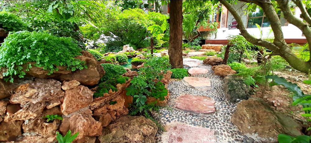 แต่งสวนสวยแบบธรรมชาติ