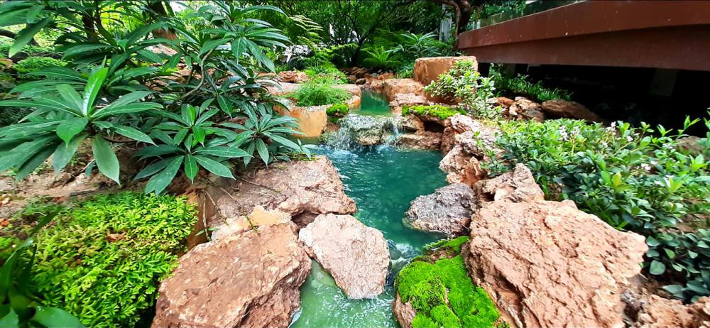 แต่งสวนสวยแบบธรรมชาติ