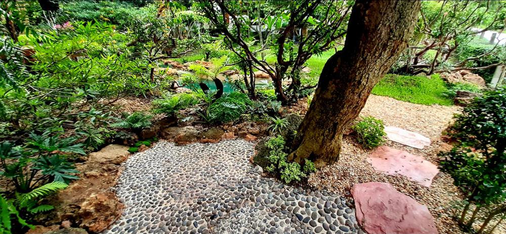 แต่งสวนสวยแบบธรรมชาติ