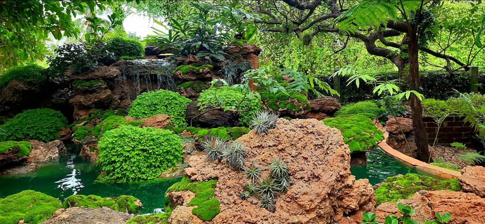 แต่งสวนสวยแบบธรรมชาติ