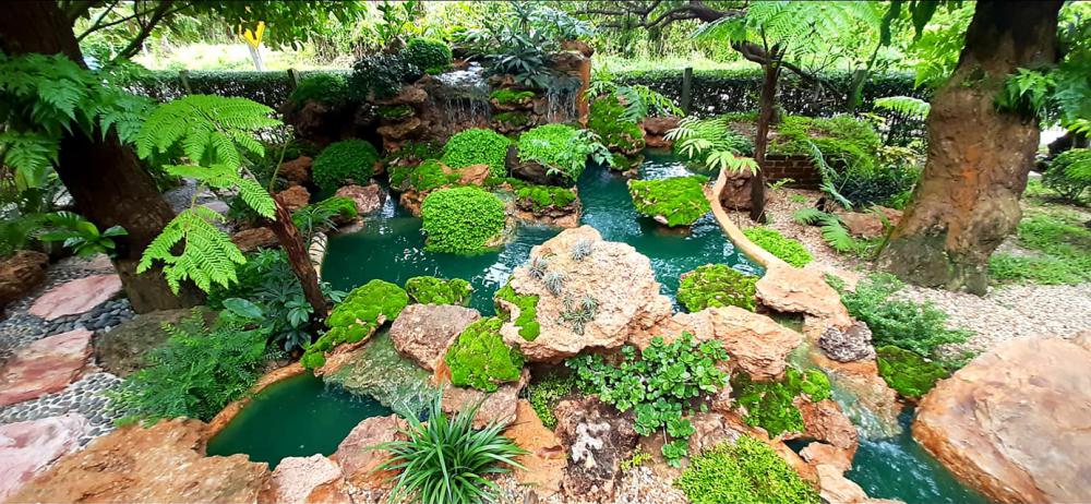 แต่งสวนสวยแบบธรรมชาติ