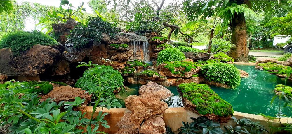 แต่งสวนสวยแบบธรรมชาติ