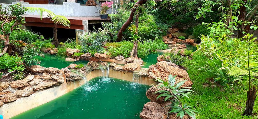 แต่งสวนสวยแบบธรรมชาติ