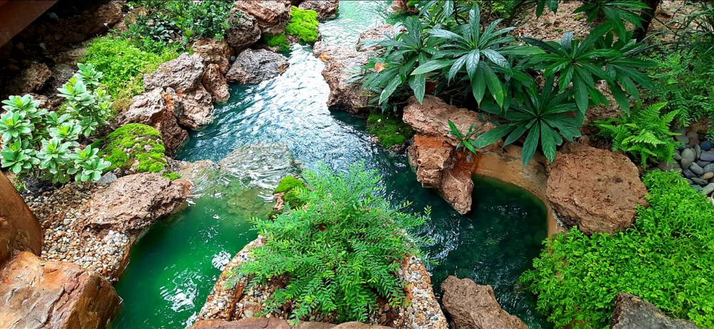 แต่งสวนสวยแบบธรรมชาติ