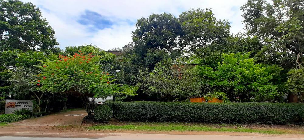 แต่งสวนสวยแบบธรรมชาติ