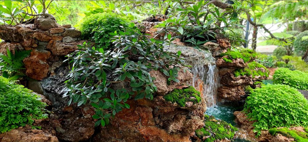 แต่งสวนสวยแบบธรรมชาติ