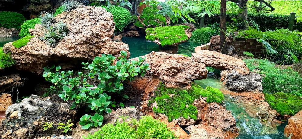 แต่งสวนสวยแบบธรรมชาติ