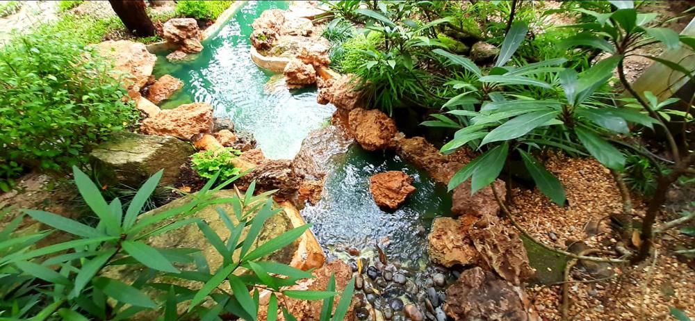 แต่งสวนสวยแบบธรรมชาติ