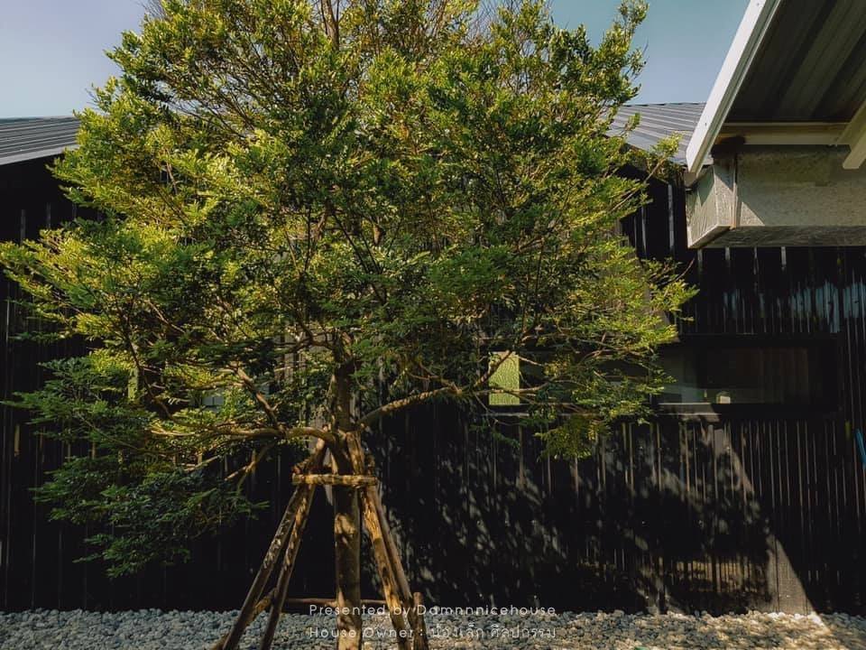 บ้านที่เป็นโฮมออฟฟิศ ร้านกาแฟ และพักอาศัยได้ สร้างด้วยงบ 1.1 ล้านบาท