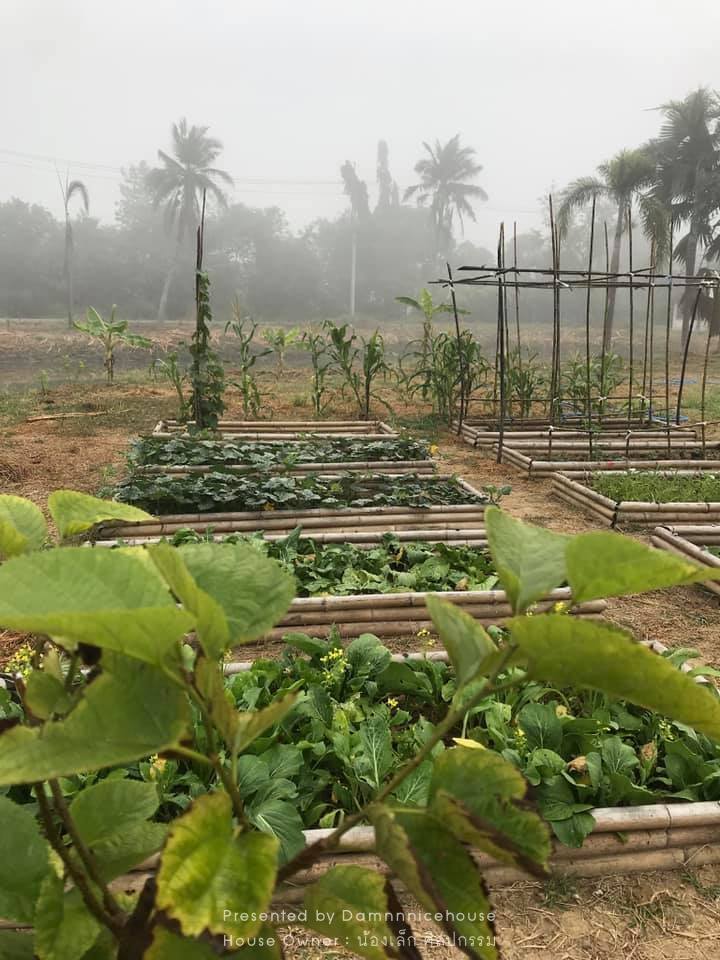 บ้านที่เป็นโฮมออฟฟิศ ร้านกาแฟ และพักอาศัยได้ สร้างด้วยงบ 1.1 ล้านบาท