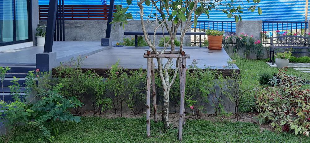 ไอเดียบ้านโมเดิร์น และไอเดียแต่งสวน