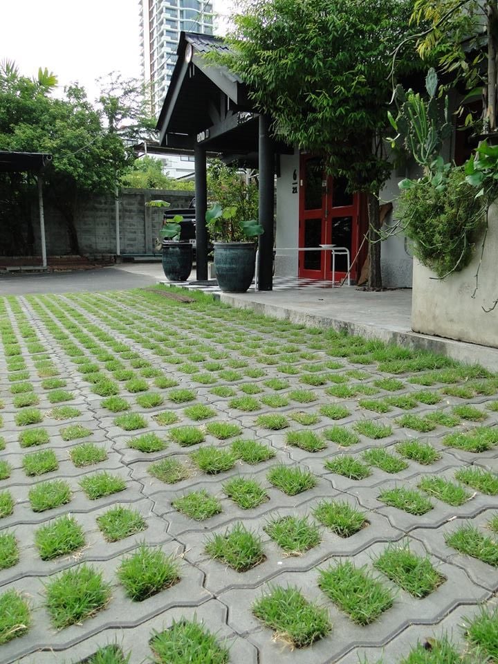 ไอเดียปูพื้นตัวหนอนทางเดิน สวยงามแบบไม่ซ้ำใคร