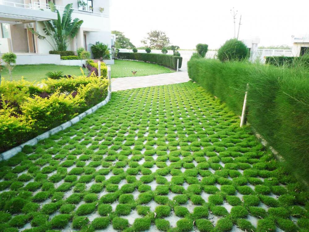 ไอเดียปูพื้นตัวหนอนทางเดิน สวยงามแบบไม่ซ้ำใคร