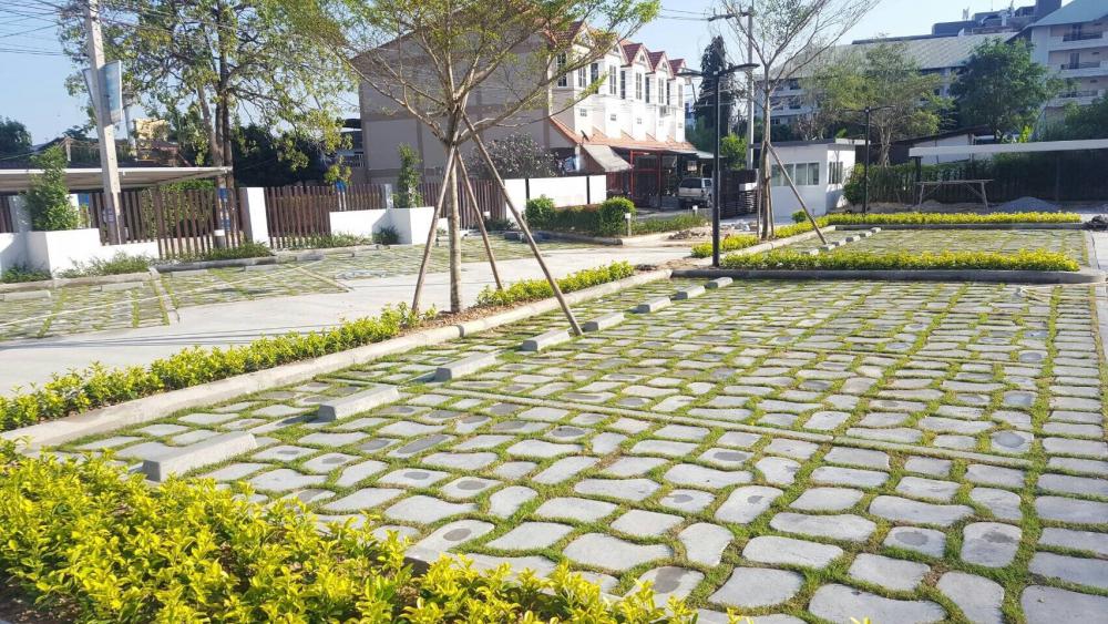 ไอเดียปูพื้นตัวหนอนทางเดิน สวยงามแบบไม่ซ้ำใคร