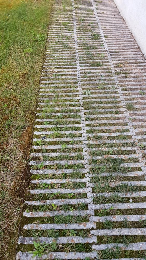 ไอเดียปูพื้นตัวหนอนทางเดิน สวยงามแบบไม่ซ้ำใคร