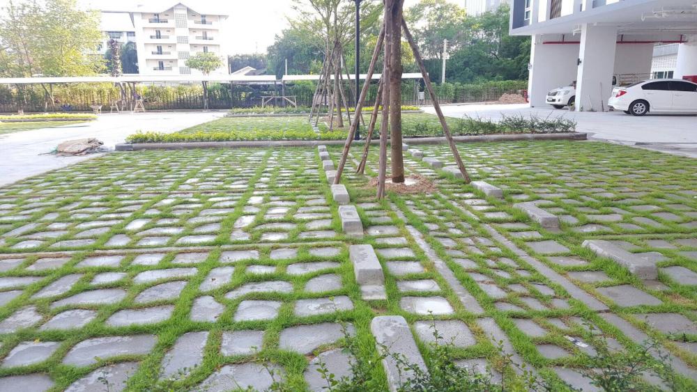 ไอเดียปูพื้นตัวหนอนทางเดิน สวยงามแบบไม่ซ้ำใคร