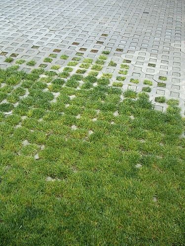 ไอเดียปูพื้นตัวหนอนทางเดิน สวยงามแบบไม่ซ้ำใคร