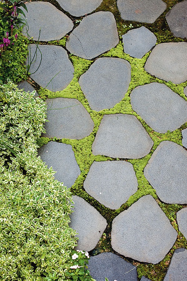 ไอเดียปูพื้นตัวหนอนทางเดิน สวยงามแบบไม่ซ้ำใคร