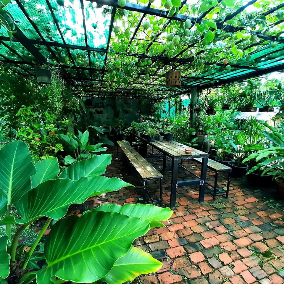 บ้านสไตล์ลอฟ บ้านในสวน พัทลุง