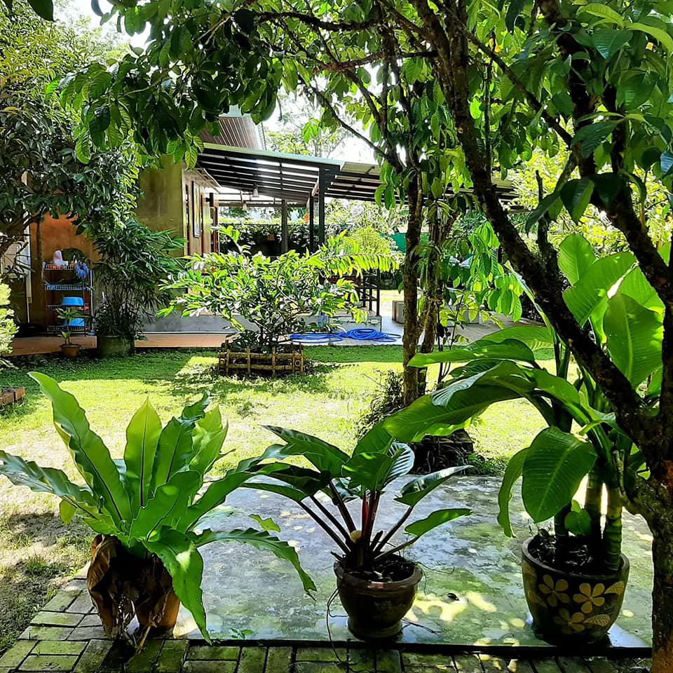 บ้านสไตล์ลอฟ บ้านในสวน พัทลุง