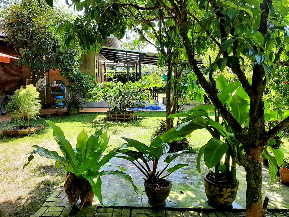 บ้านสไตล์ลอฟ บ้านในสวน พัทลุง