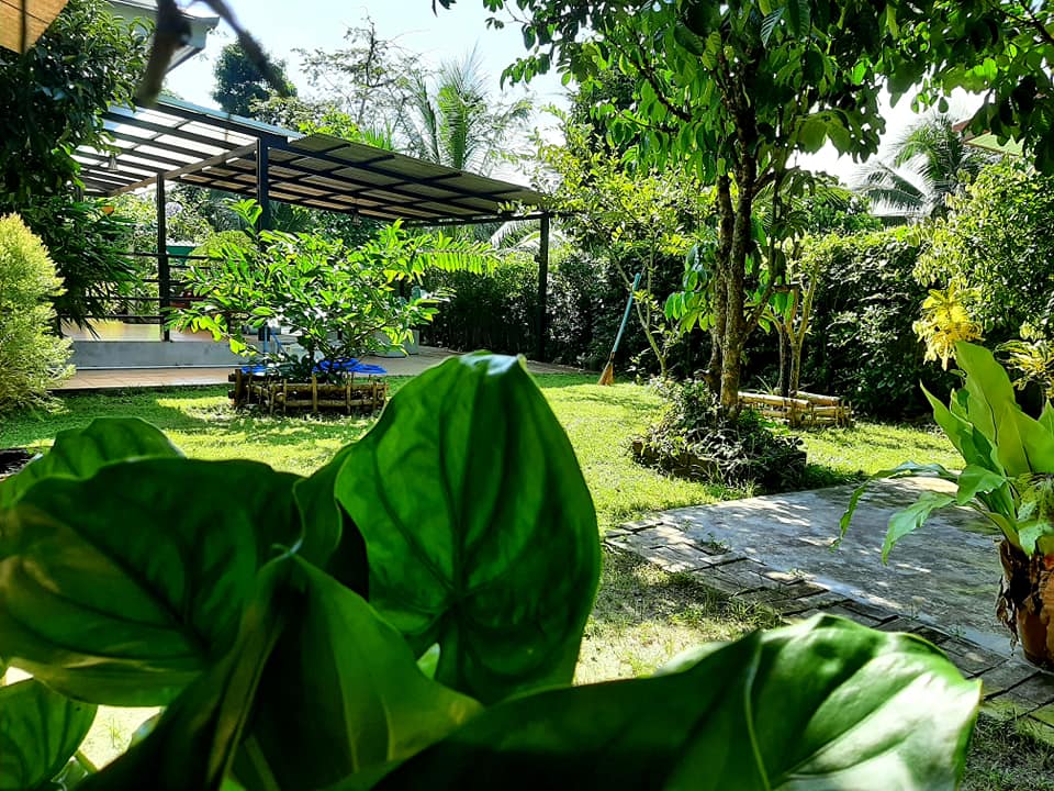 บ้านสไตล์ลอฟ บ้านในสวน พัทลุง