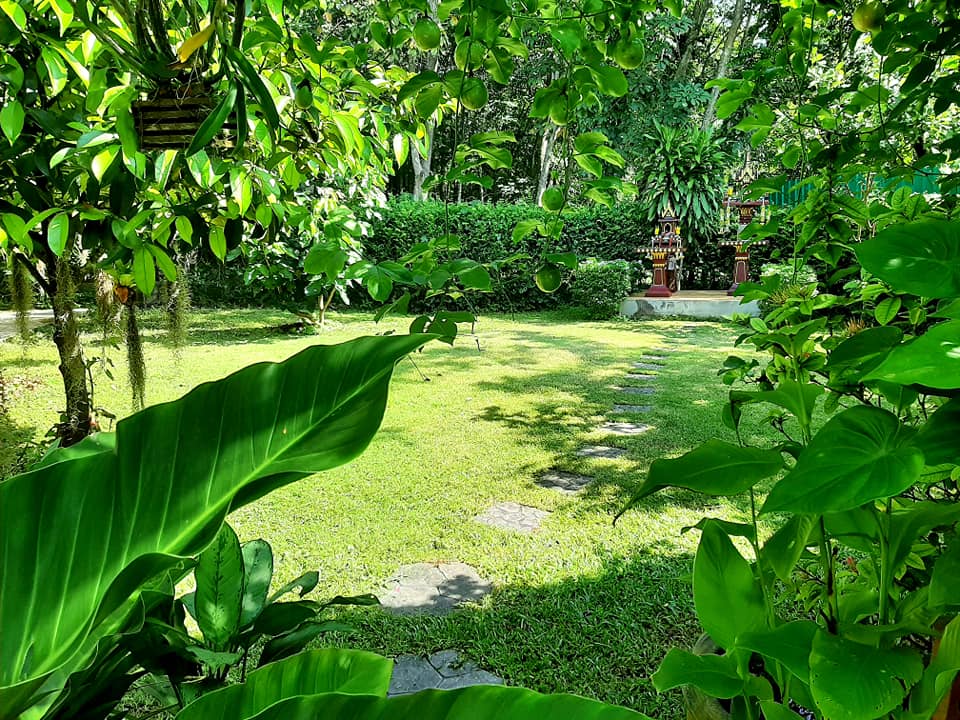 บ้านสไตล์ลอฟ บ้านในสวน พัทลุง