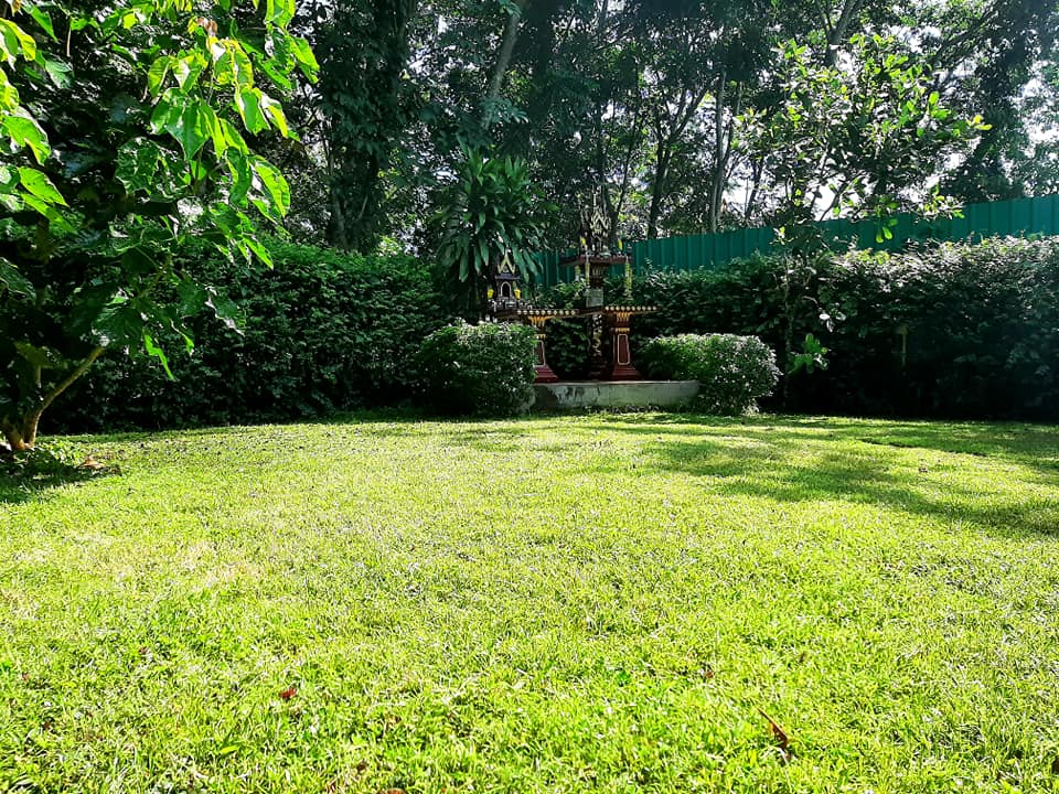 บ้านสไตล์ลอฟ บ้านในสวน พัทลุง