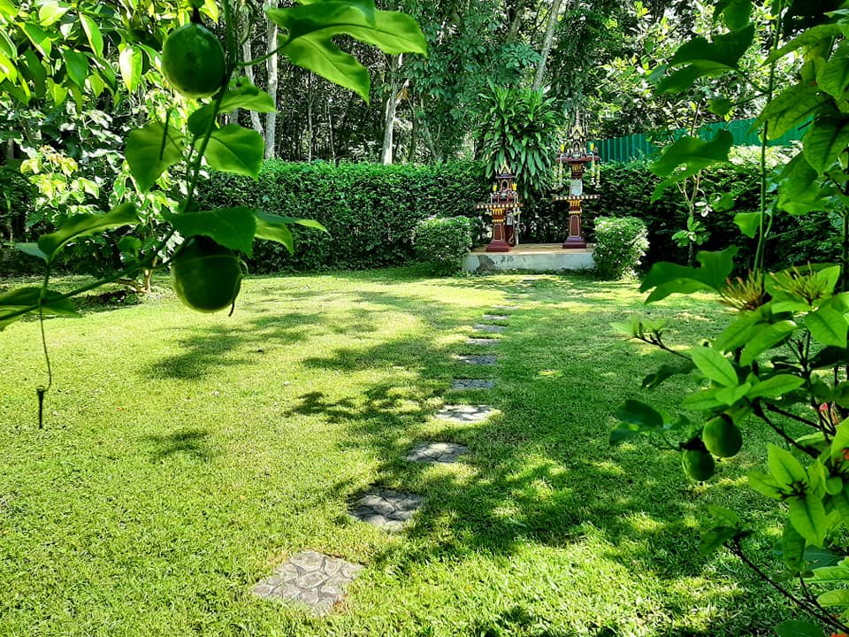 บ้านสไตล์ลอฟ บ้านในสวน พัทลุง