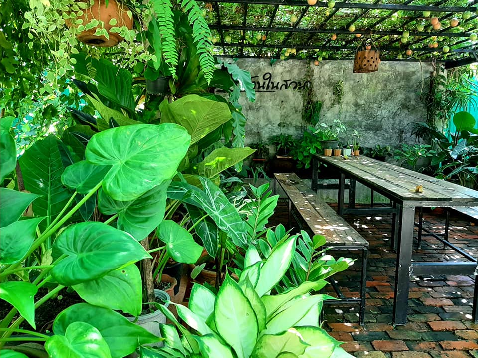 บ้านสไตล์ลอฟ บ้านในสวน พัทลุง