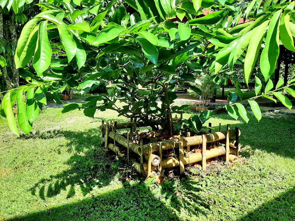 บ้านสไตล์ลอฟ บ้านในสวน พัทลุง